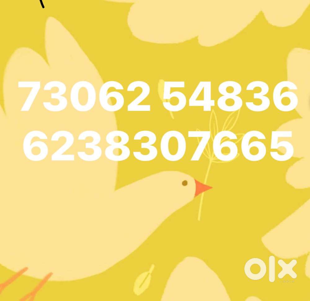 Ford Ecosport 1.5 Ti Vct At Titanium, 2017, Petrol