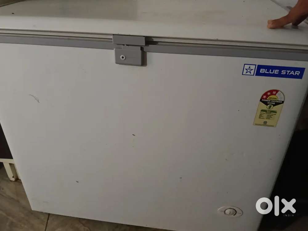 Blue Star Deep Freezer  Like New Condition  Purchased July 2026  Wa