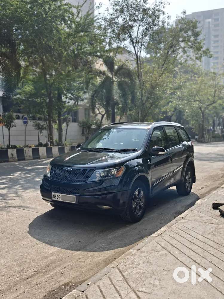 Black Beast Excellent Condition