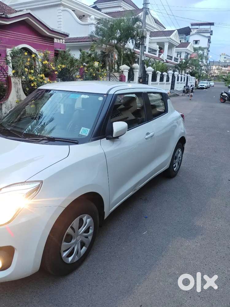 Swift 2024 (2 Year Old)