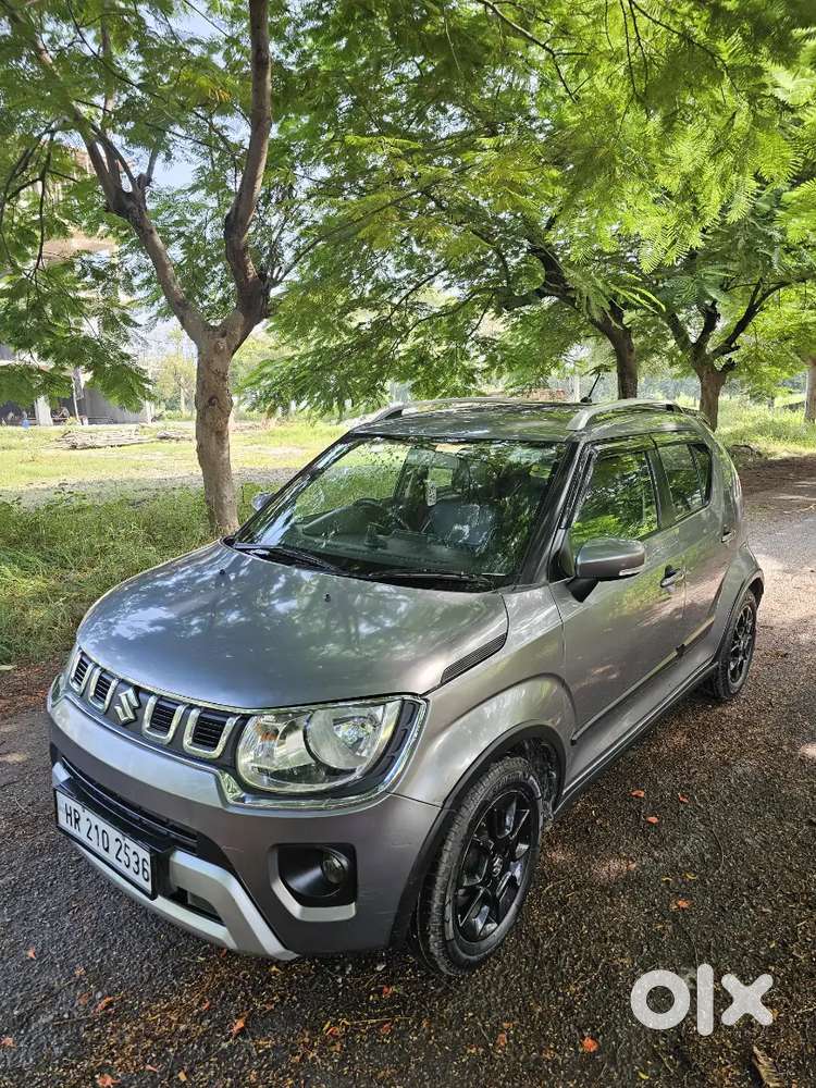 Maruti Suzuki Ignis 2023 Petrol