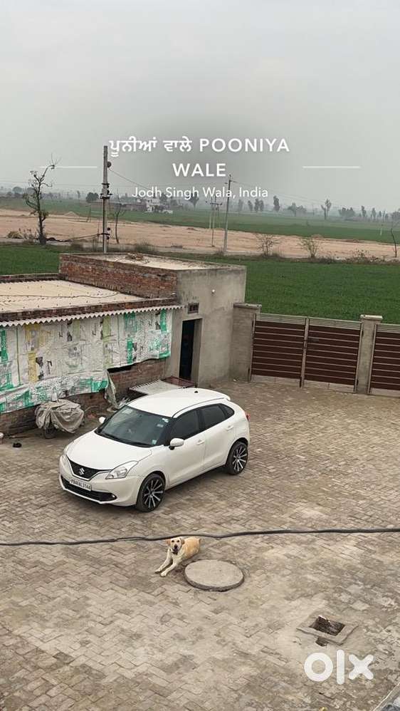 Maruti Suzuki Diesel 2015