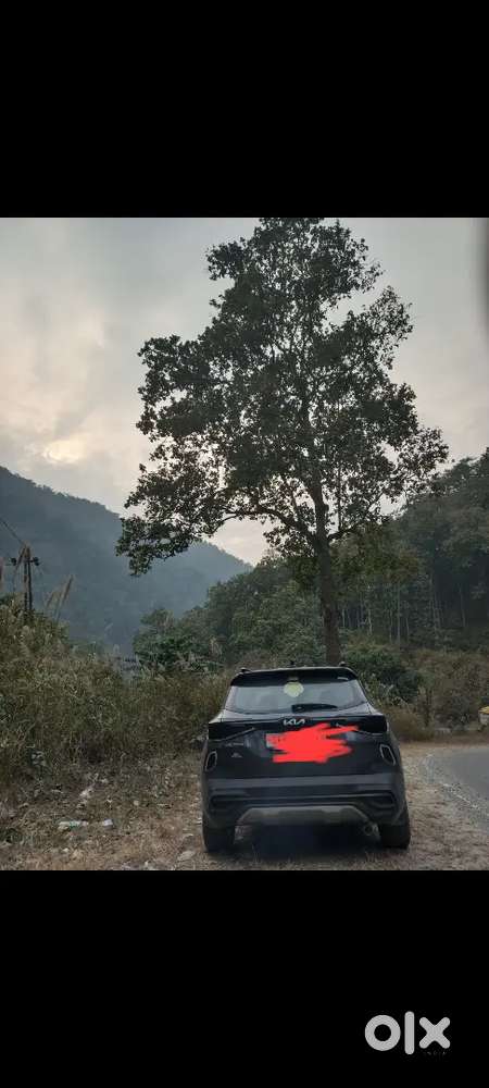 Kia Seltos 2021 Petrol Well Maintained