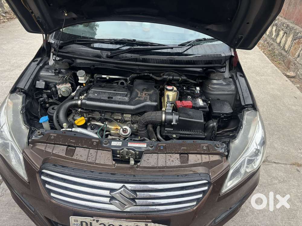 Maruti Suzuki Ciaz 2014-2017 Zdi Plus Shvs, 2016, Diesel