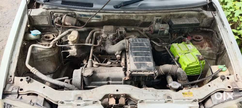 New Bore, New Cluch Plets