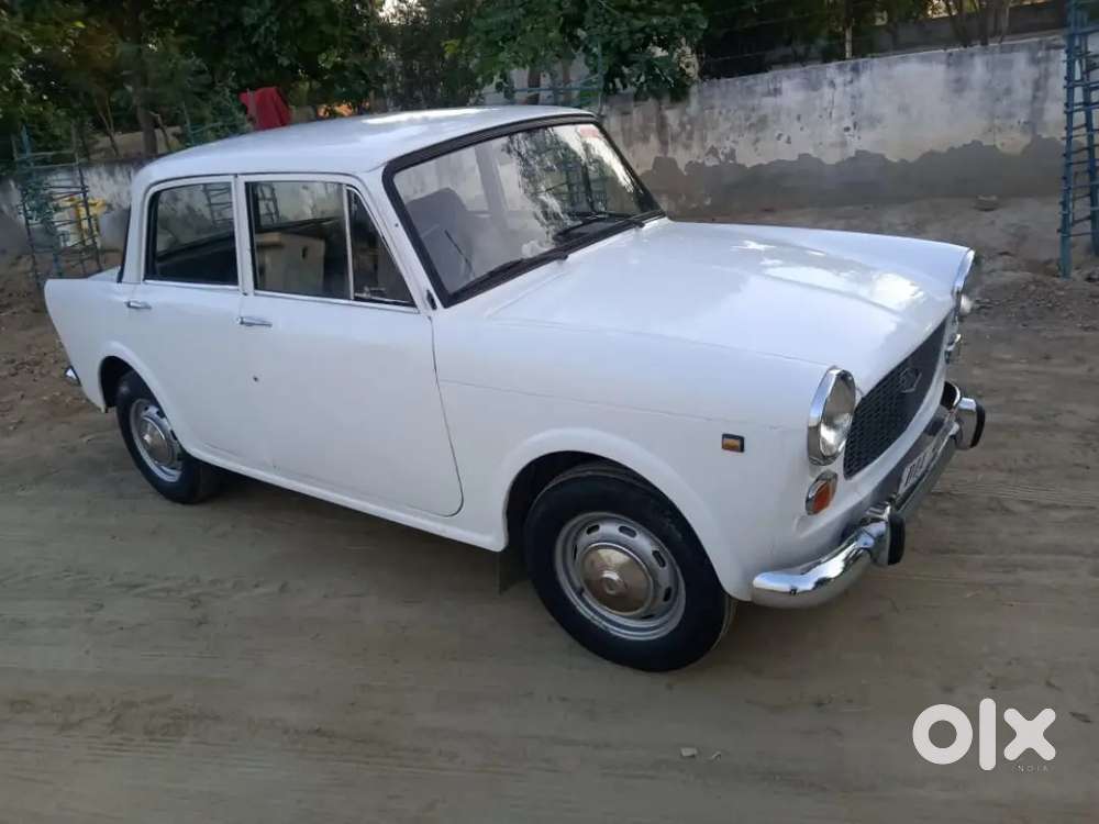 Fiet Primer Padmini White Colour (old Is Gold)