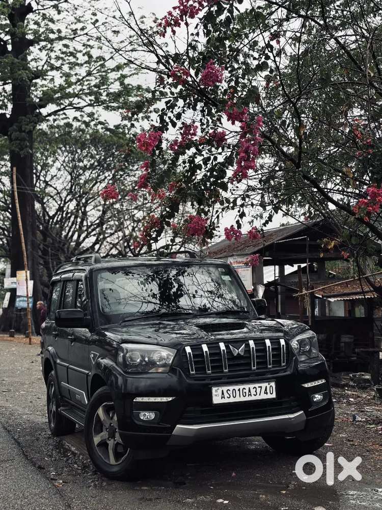 Mahindra Scorpio Classic S11 2024 October Diesel Variant 7 Str