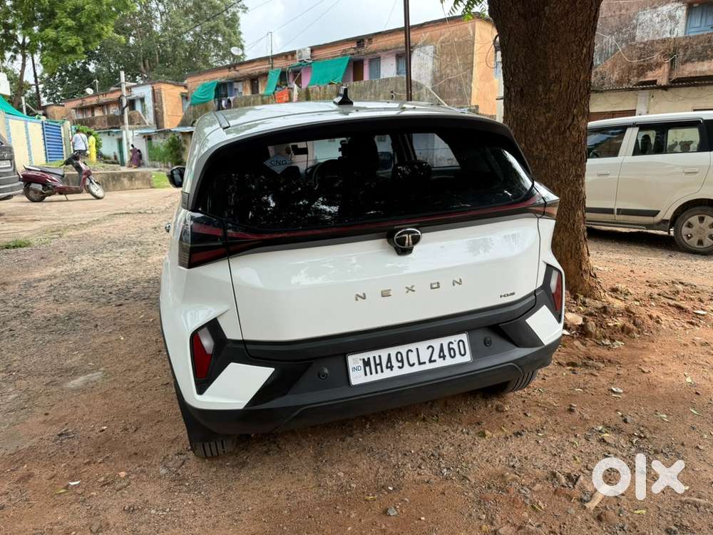 Tata Nexon Smart Plus 2024 Icng