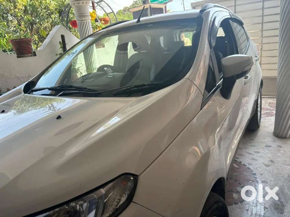 Eco Sports White With Black Roof