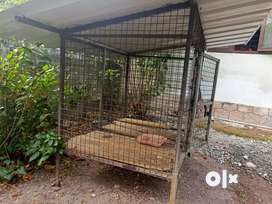 Cage for hot sale dogs olx