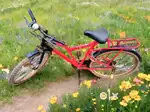 Good Condition Ranger Cycle
