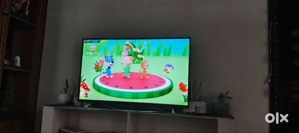 MI 43 inch