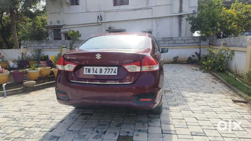 2015 Maruti Ciaz Diesel  Single Owner  1.27l Km  Full Company Servi