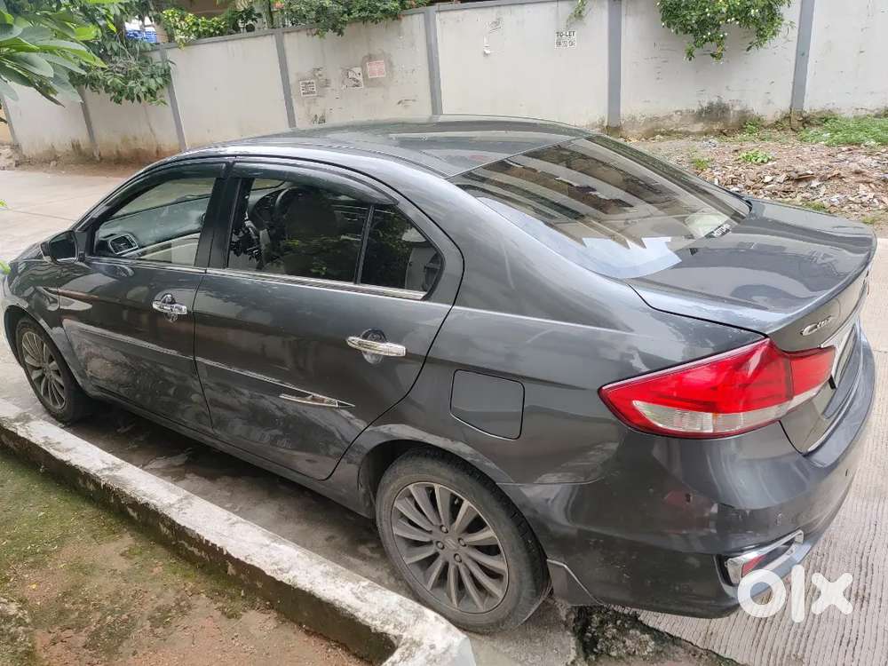 Maruti Suzuki Ciaz Alpha 2024
