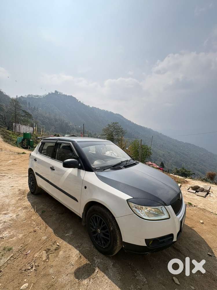 Skoda Fabia 2010 Petrol Well Maintained