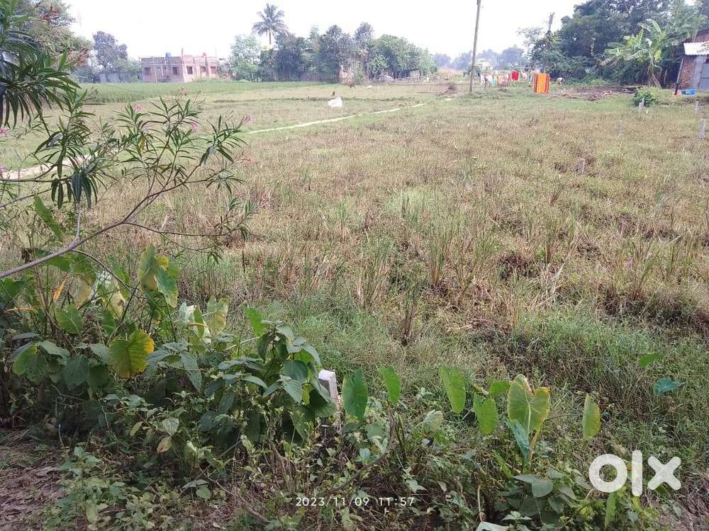 2/3/4 katha plotting land sell in jotram, gangpur, bradhaman. Lands