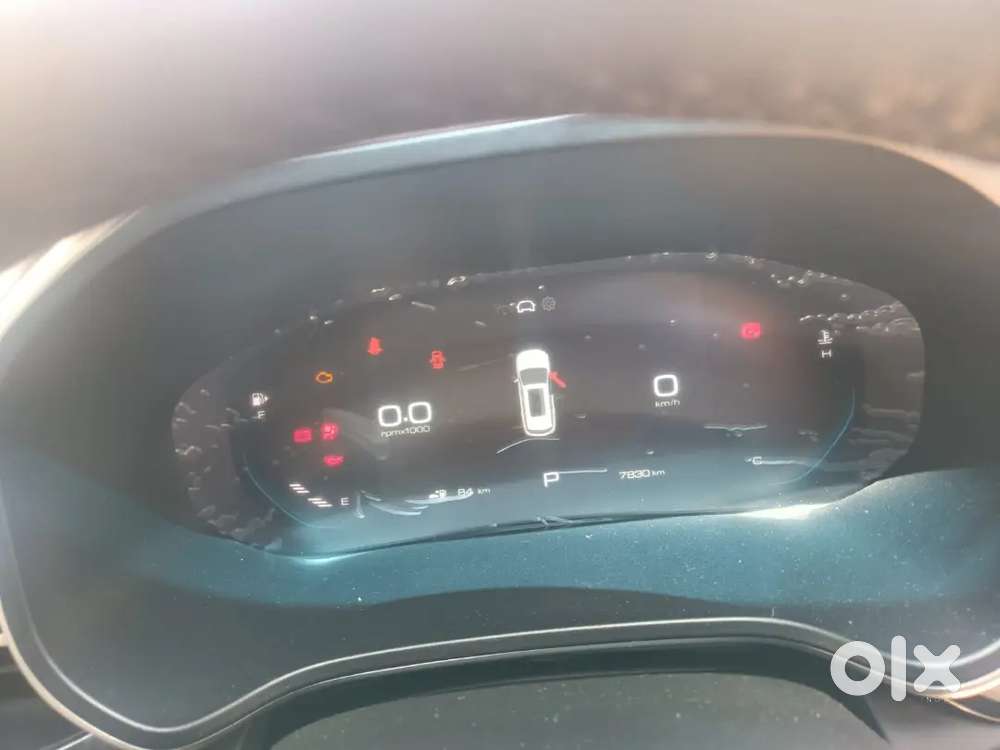 Mg Hector 2024 Petrol 10000 Km Driven