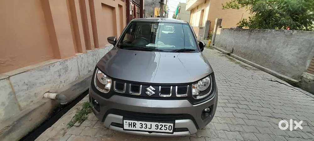 Maruti Suzuki Ignis 2022 Petrol 18600 Km Driven