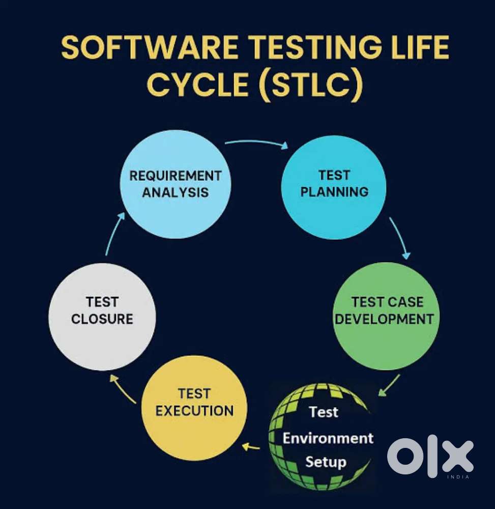 Software Testing