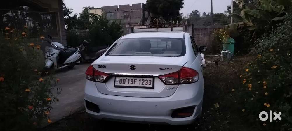 Ciaz Zxi Plus