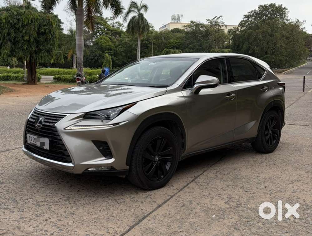 Lexus Nx Lexus-nx-300h-luxury, 2019, Petrol