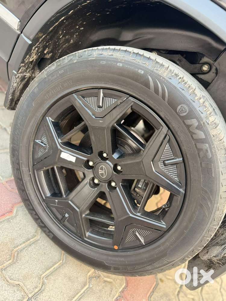 Tata Safari Accomplished X Plus 7 Str Dark Edition, 2024, Diesel