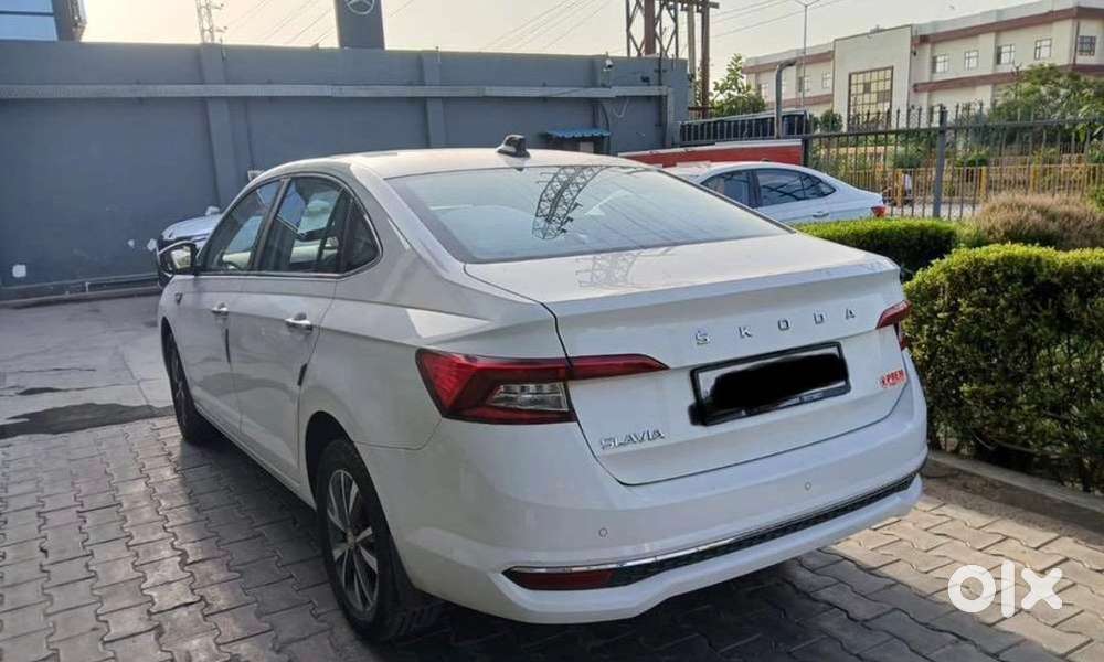 Skoda Car Petrol Manual 2024