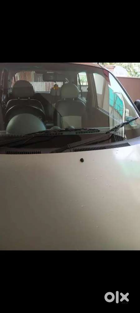 Hyundai Santro Xing 2003 Petrol 55000 Km Driven
