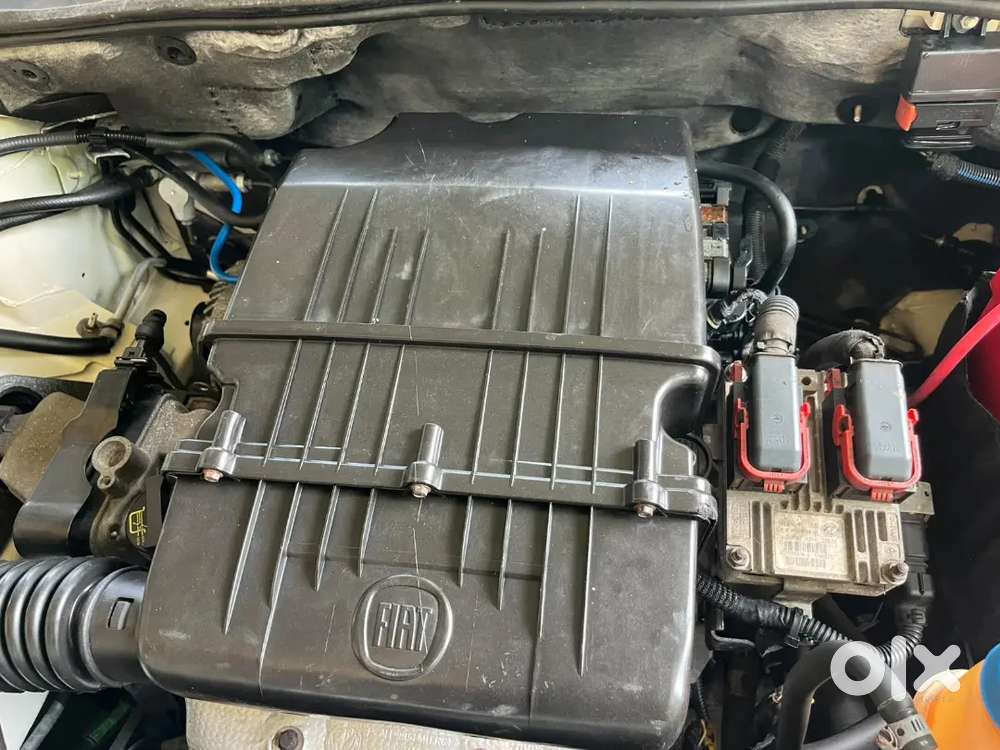 Fiat Puto Active
