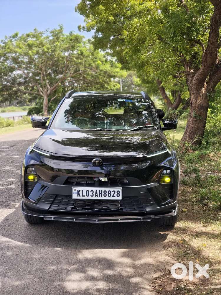 Tata Nexon 2025 Petrol Well Maintained
