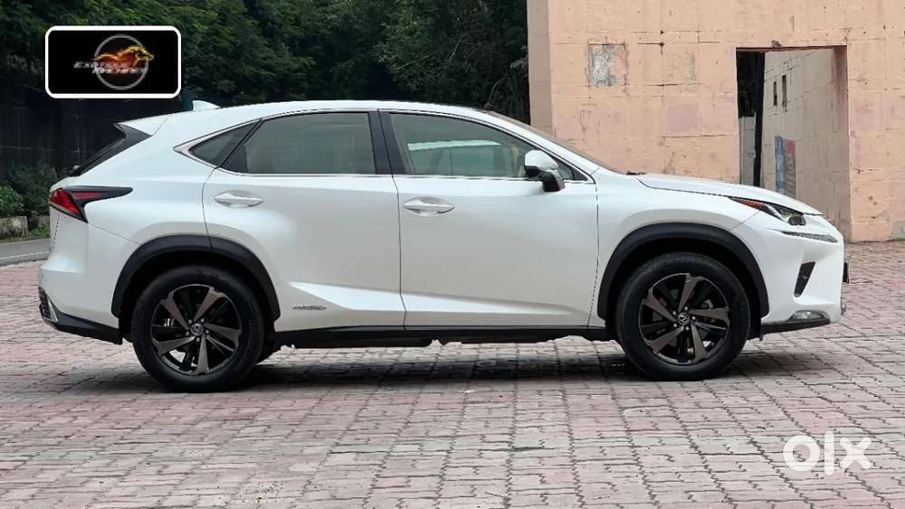 Lexus Nx, 2020, Petrol