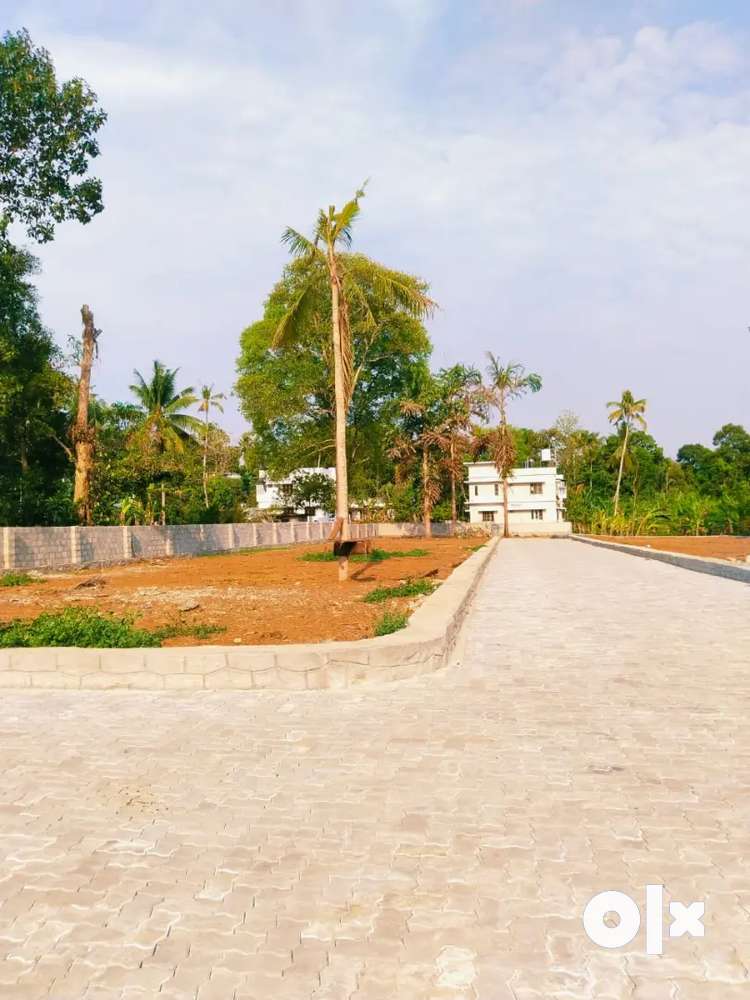 15 CENT RESIDENTIAL HOUSE PLOT (LAND) FOR SALE AT PALLIKKARA Lands