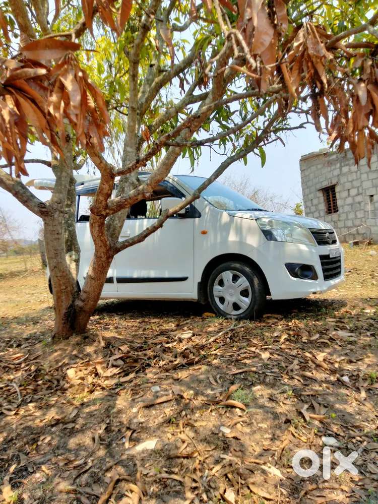 Maruti Suzuki Wagon R 2013 Nov