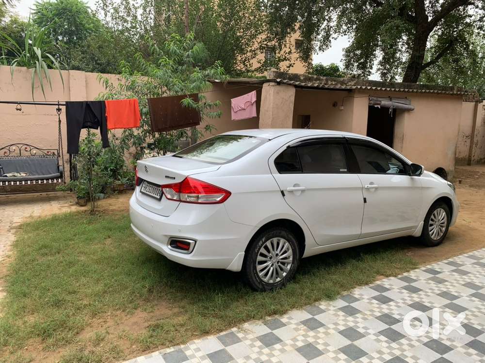 Maruti Suzuki Ciaz 2019 (petrol + Cng)