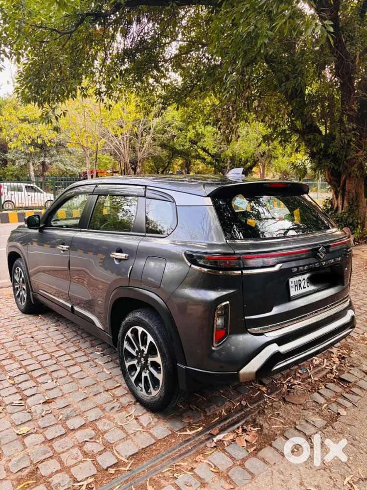 Grand Vitara Delta Cng 2024