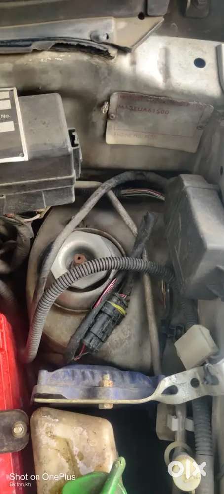 Maruti Suzuki Alto 2014