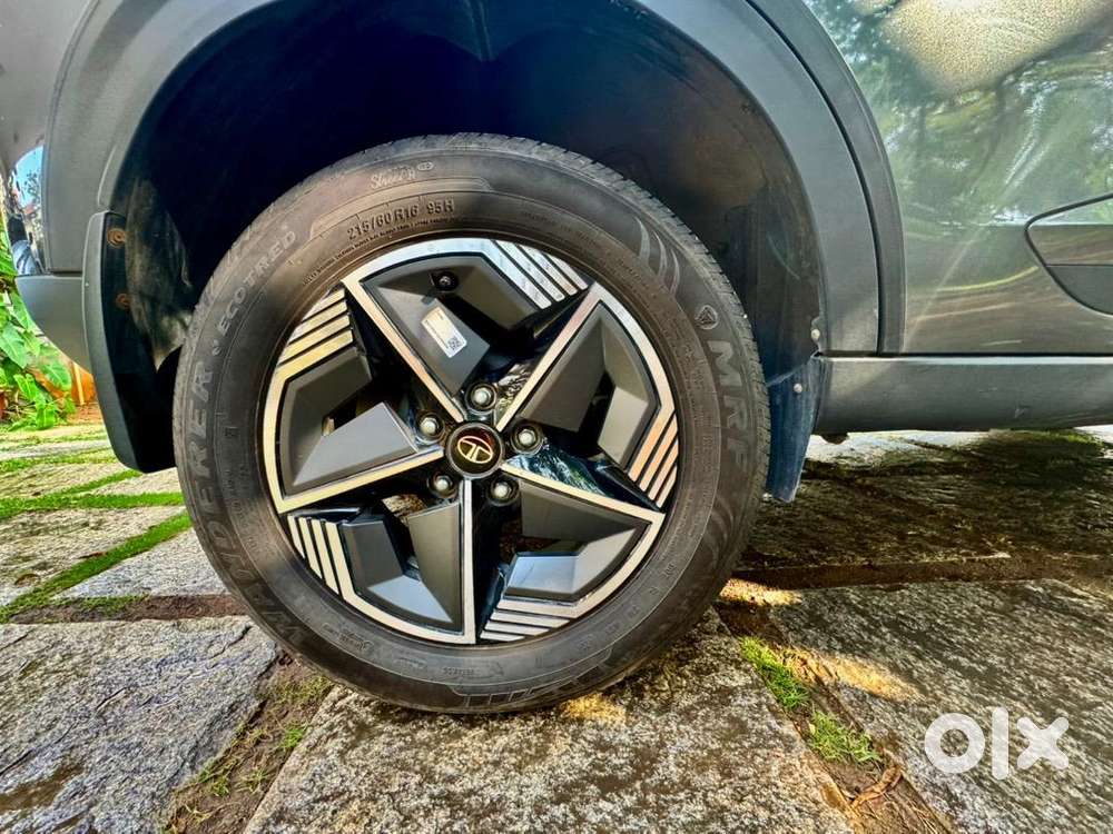 Tata Nexon Creative 2024 Petrol 24000 Km Driven