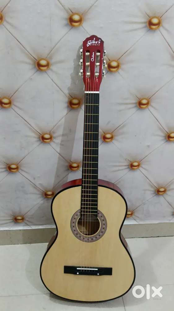 Gibzs Guitar