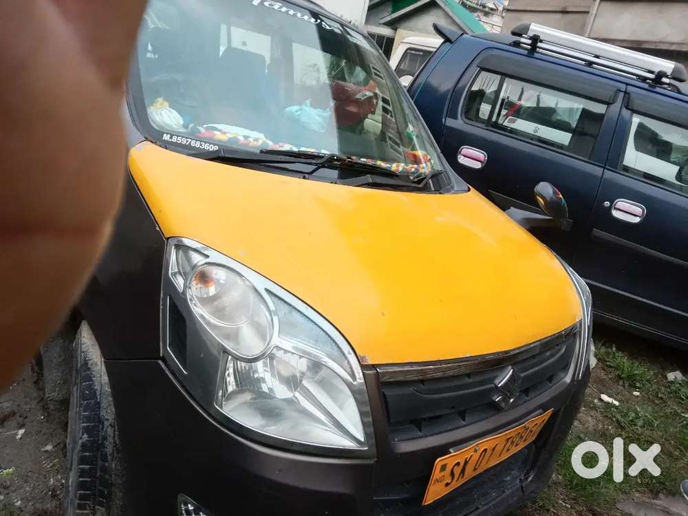 Maruti Suzuki Wagon R Flex Fuel 2014