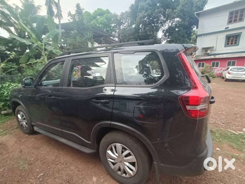 Napolean Black New Scorpio N