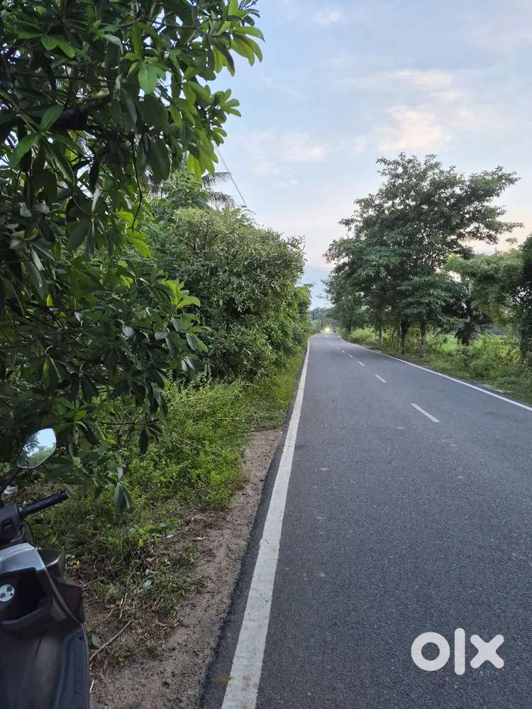 Main Road Land for rent in gurunthi