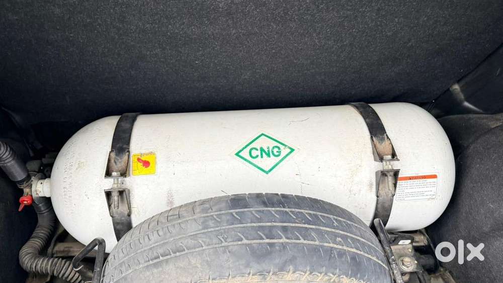 Wagnor Lxi Cng Green