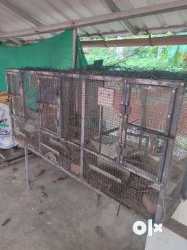 2nd hand cat cage best sale for sale