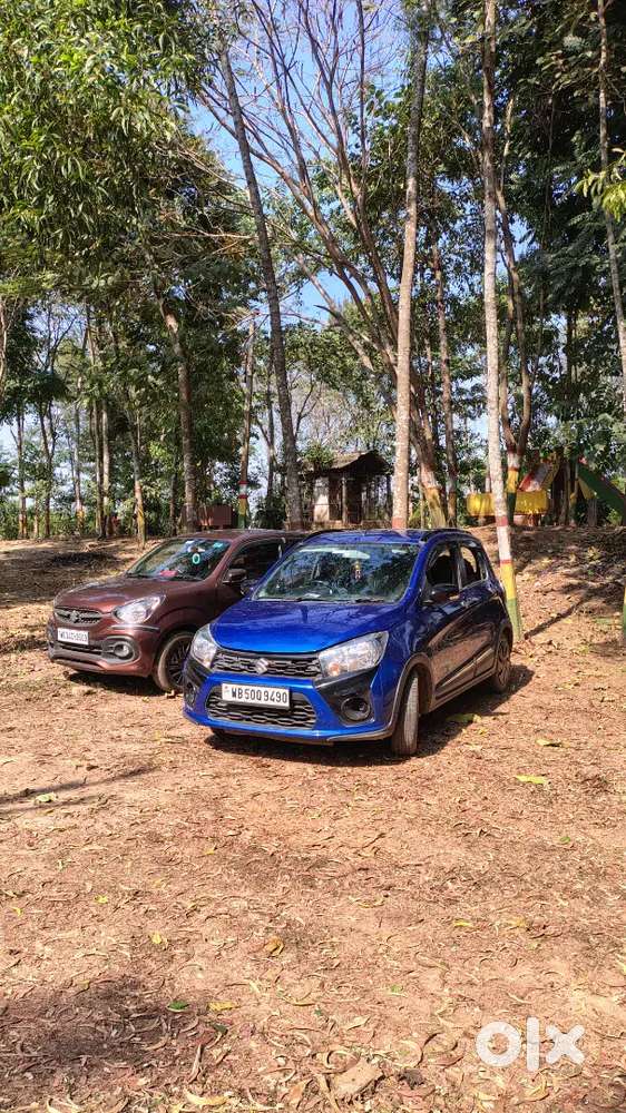 Maruti Suzuki Celerio X 2019