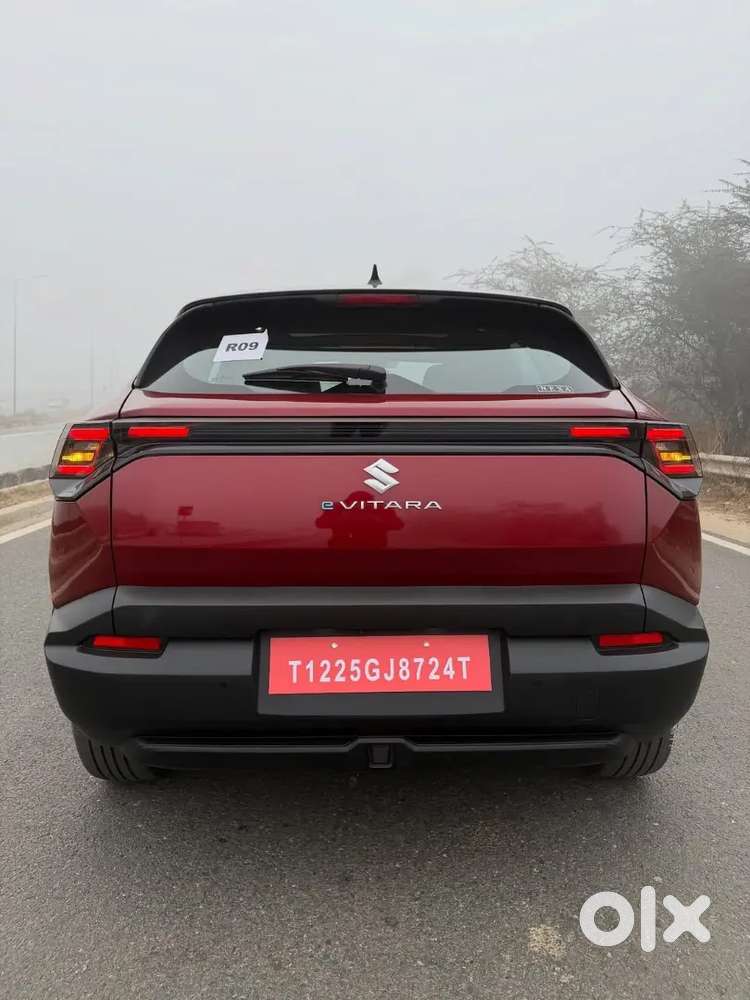 E Vitara Electric Alpha