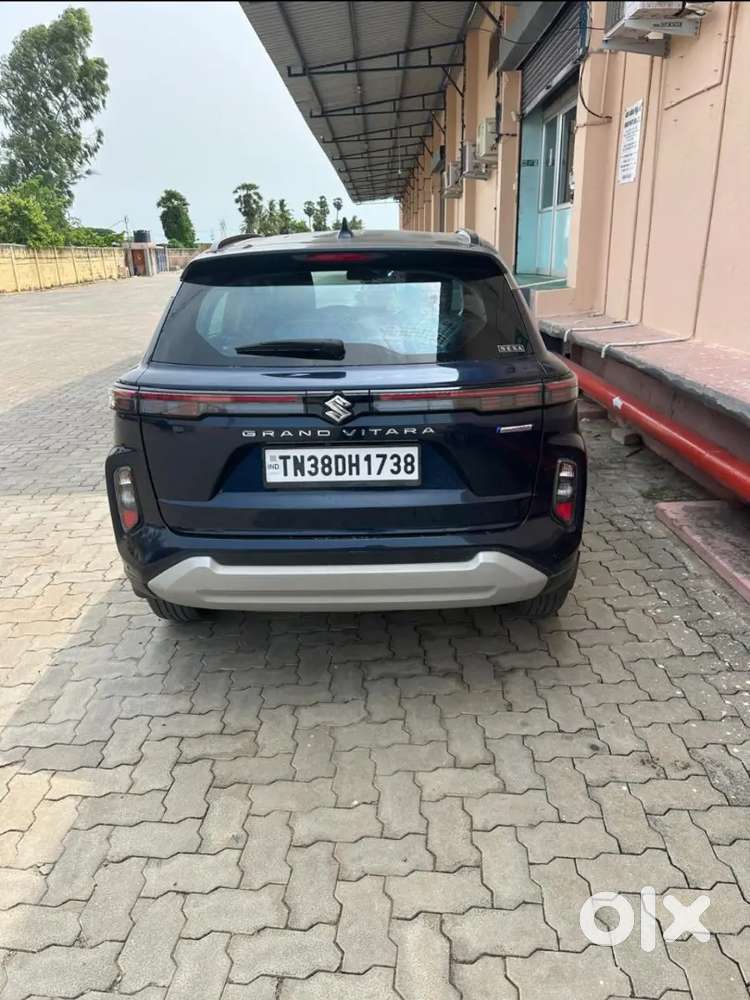 Maruti Suzuki Grand Vitara 2023 Petrol 49000 Km Driven