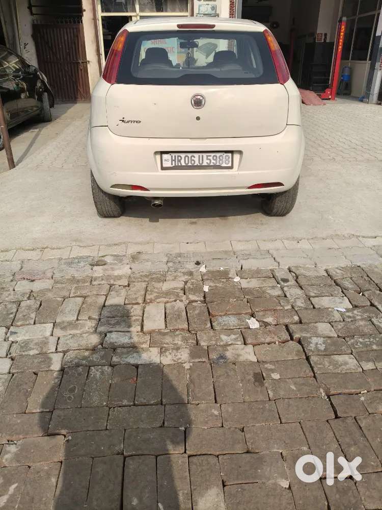 Fiat Punto 2010 Model