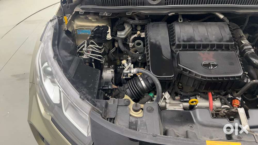 Tata Nexon 1.5 Revotorq Xz Plus Kaziranga, 2023, Diesel