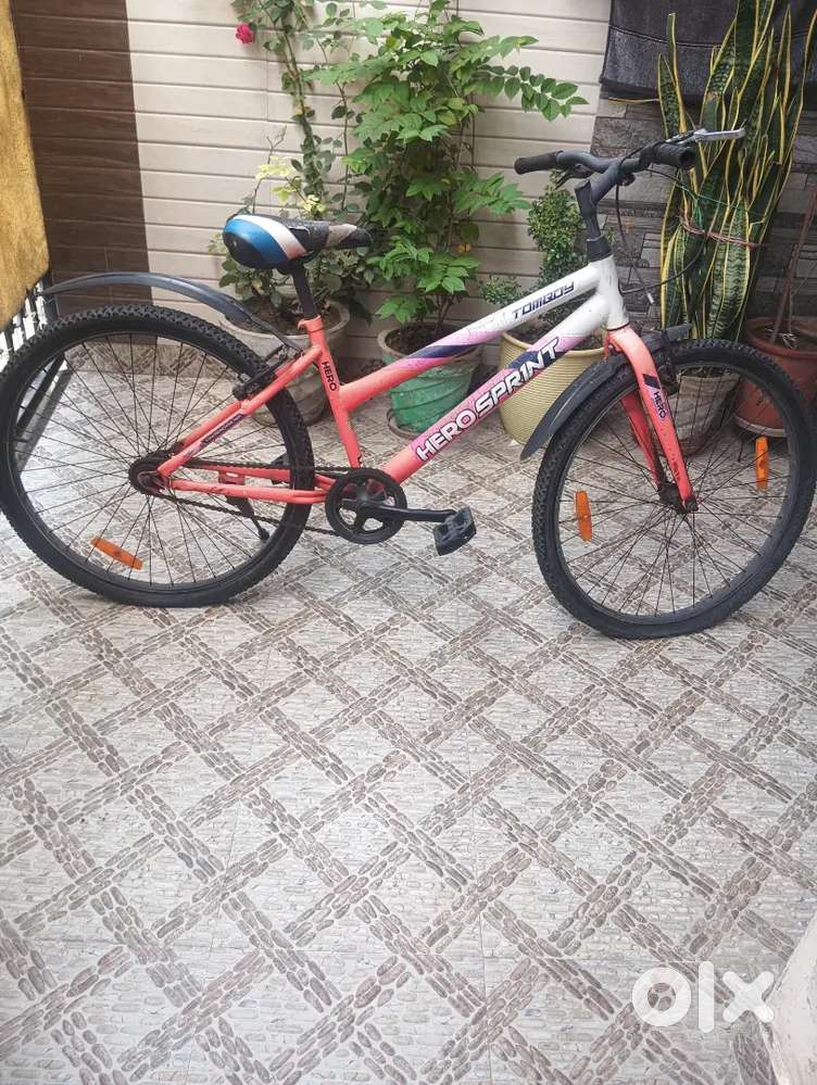 Mountain Bike Hero Tomboy 26t Cycle Hero Sprint Tomboy Cycle Price