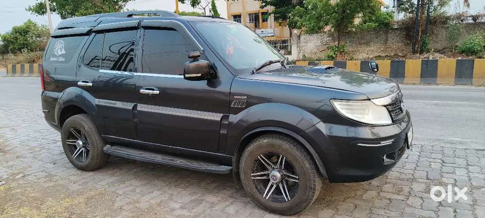 Family Cartata Safari